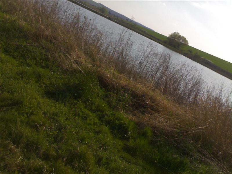 200704091664 .jpg